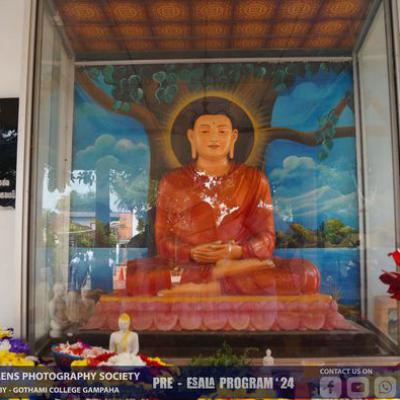 451761375 122188416398029864 4177192237812590902 N