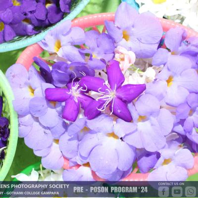 448878591 122182840664029864 4393621890232502949 N